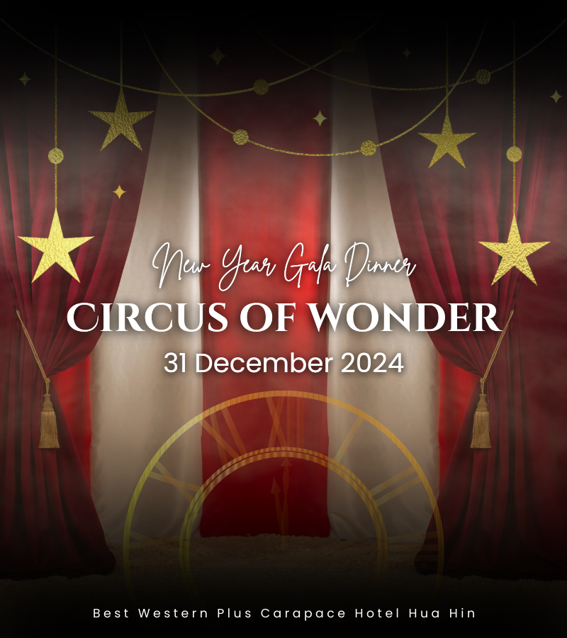 Circus of Wonder