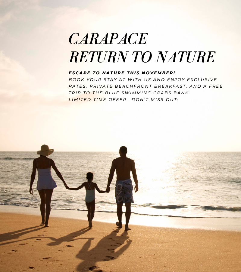 แพ็กเกจ Carapace Return to Nature